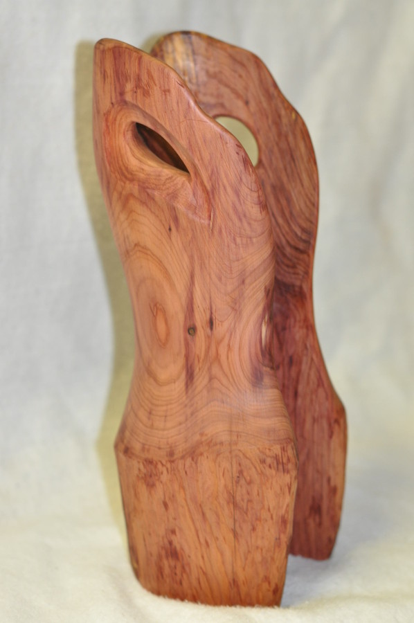 Torso, Texas Cedar